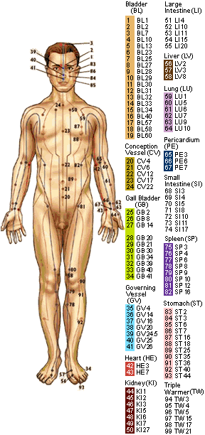 acupressurebody.gif (35704 octets)