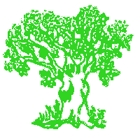 arbre.gif (3707 octets)