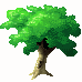 arbre1.GIF (1902 octets)