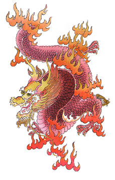dragonfeu.jpg (28476 octets)